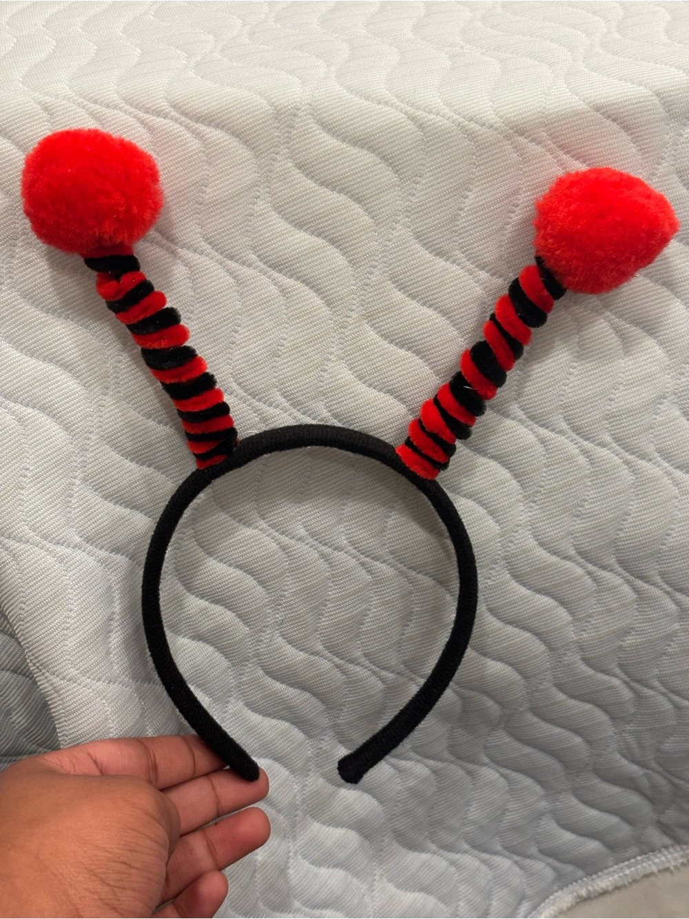 Lady bug Athena